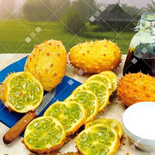 Cucumis metuliferus - Kiwano