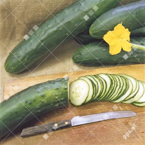Cucumis sativus - Komkommer