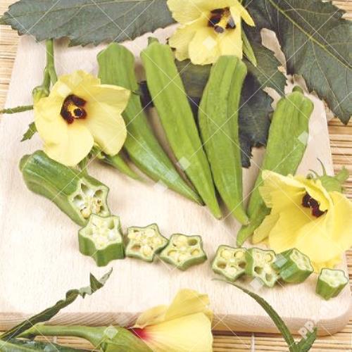 Hibiscus abelmoschus - Okra