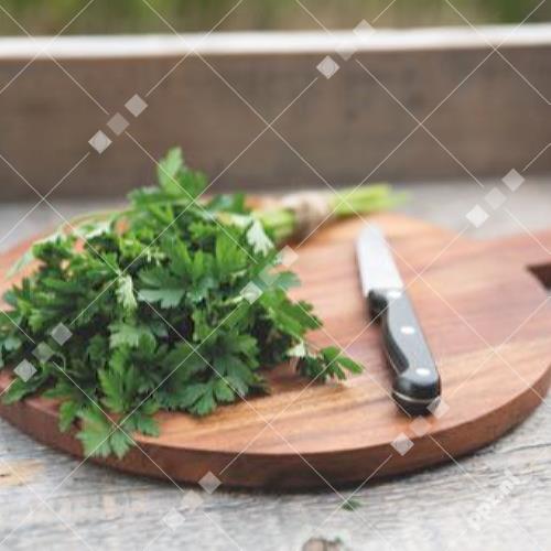 Petroselinum crispum - Peterselie